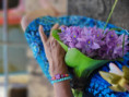 /album/fotogaleria-sri-lanka-maldivy-zajazd-vy-a-my/sri-lanka-zaajzd-23-jpg/